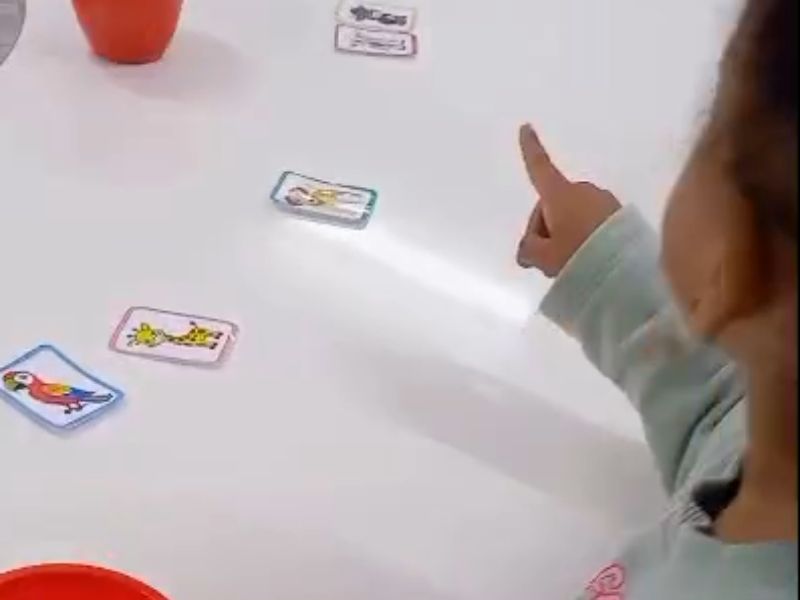 Encontrando os Pares dos Animais