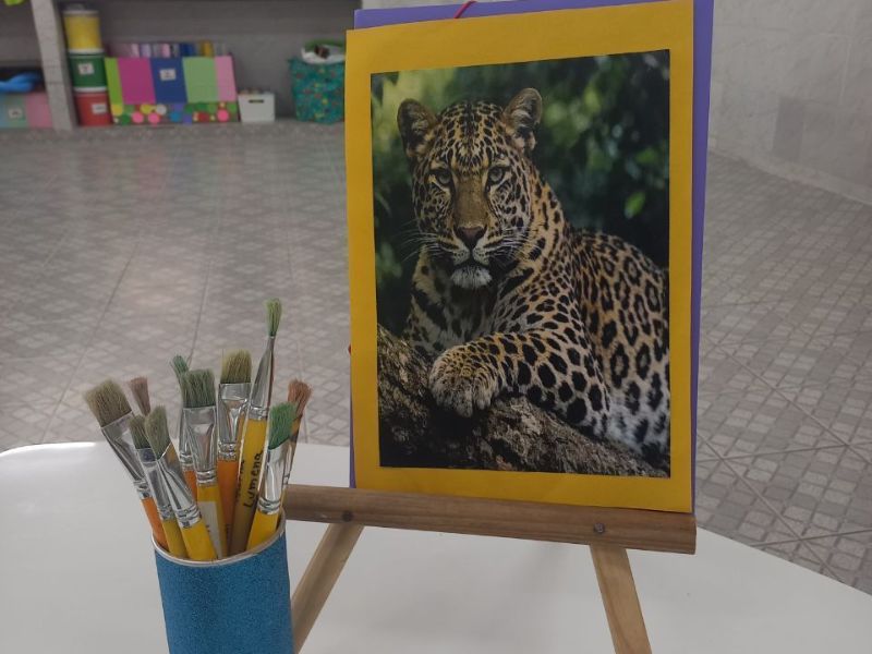 A Onça-Pintada