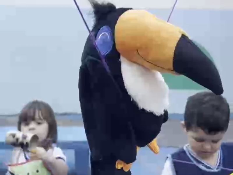 Conhecendo o Tucano
