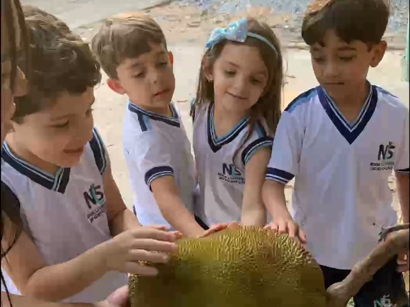 DIA DA ÁRVORE – EXPLORANDO OS ELEMENTOS DA NATUREZA 