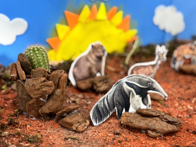 DO CERRADO À AMAZÔNIA: UM BRASIL DE BIOMAS!